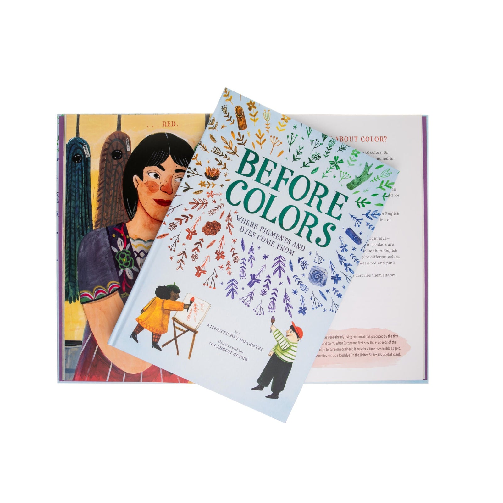 Illustrated book with a character holding a paintbrush and another page titled 'Before Colors'.
