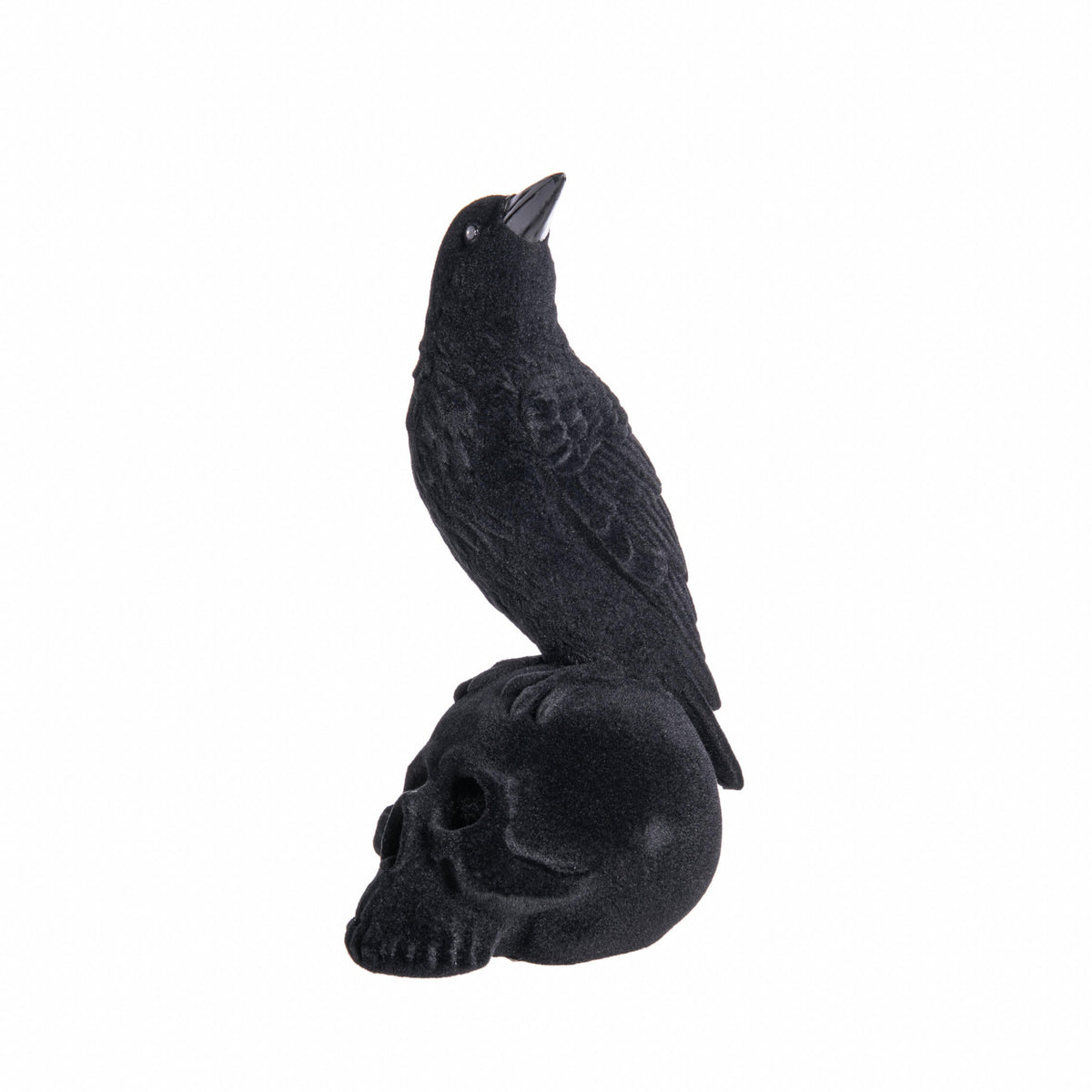 Black crow perched on a black skull on a white background