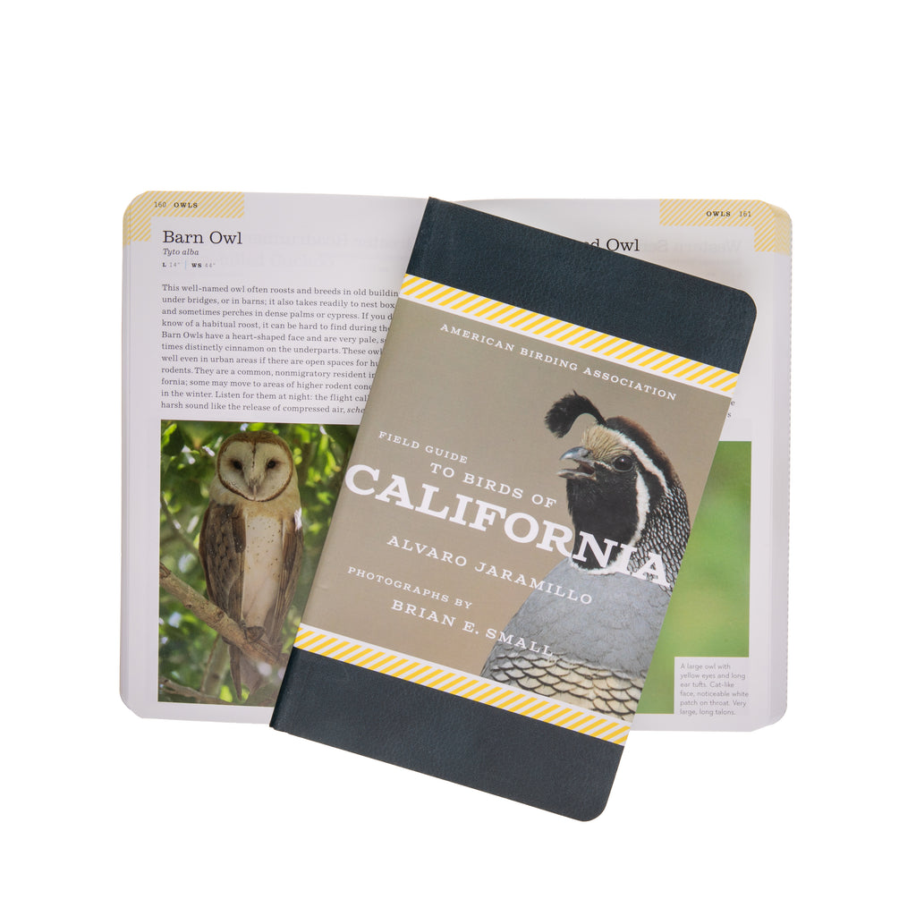 With its lush coastal forests, oak woodlands, grasslands, watered suburbs, and desert scrubs, California is a haven for birds. Hundreds of birds nest in the Golden State or stop by on seasonal migration routes. The American Birding Association’s Field Guide to Birds of California includes more than 300 species that birders are most likely to see in the state. 352 pages Softcover