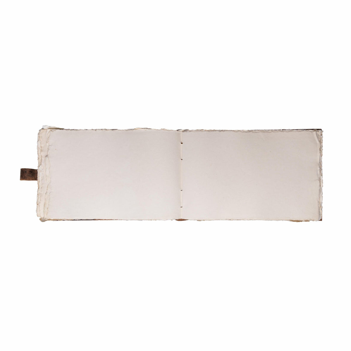 Open book with blank pages on a white background