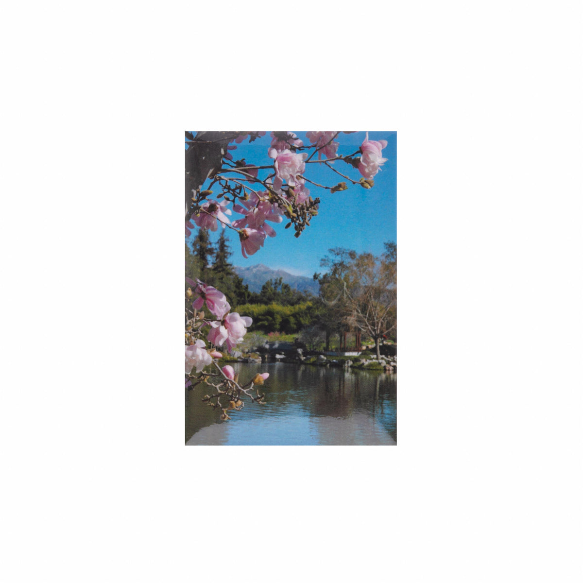 CHINESE GARDEN MAGNET