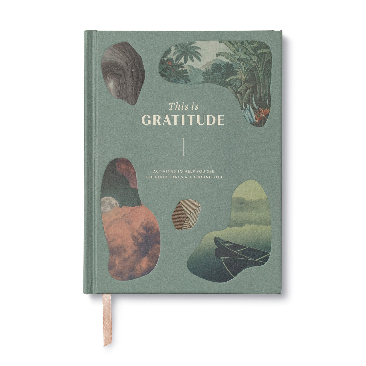 Book titled 'This is Gratitude' with nature-themed cover on a white background