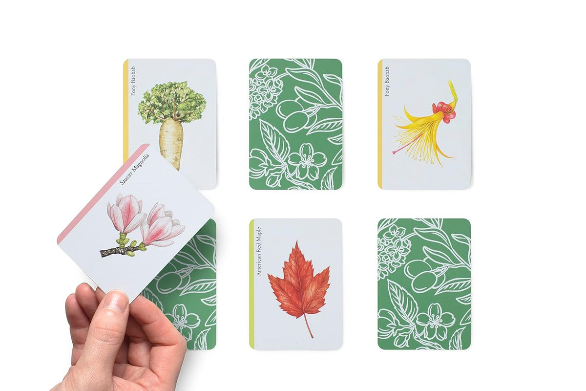 TREE FAMILIES: A CARD GAME FOR TREE LOVERS