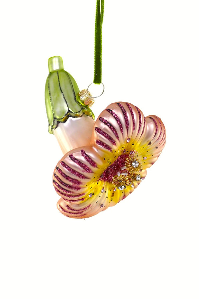 A stunning ornament of a glittering, sparkling Trumpet Flower. This glass ornament features a hand-glittered finish and is studded with rhinestones. It is finished off with a leaf-green velvet ribbon for easy hanging. Glass ornament Hand glittered finish 4" x 3.5"