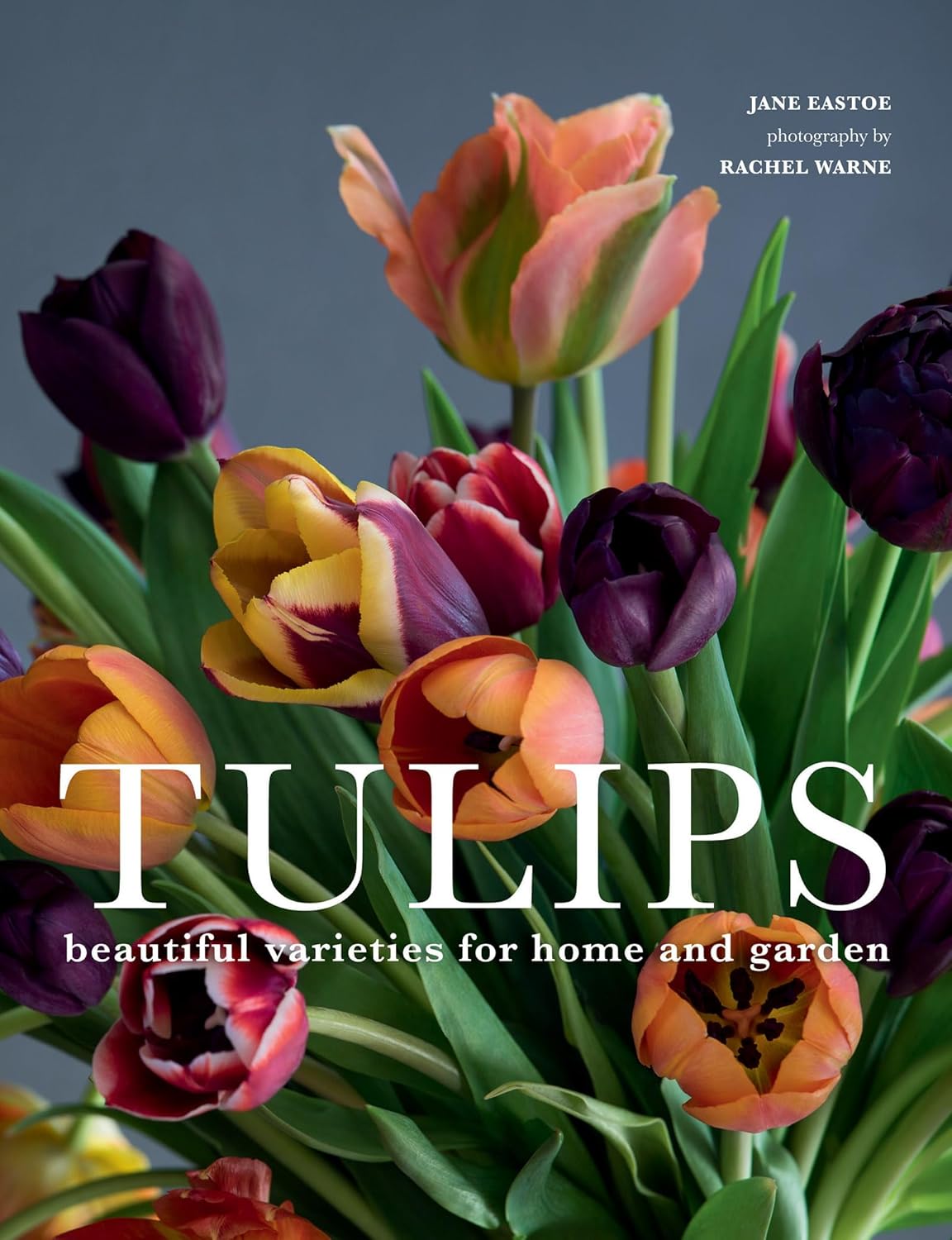 From the tulip fields of Netherlands to your garden flower patch, tulips are loved the world over. Jane Eastoe’s passion for gardening and Rachel Werne’s spectacular photography combine to showcase these gorgeous bulbs and show that anyone can grow and enjoy tulips at home.