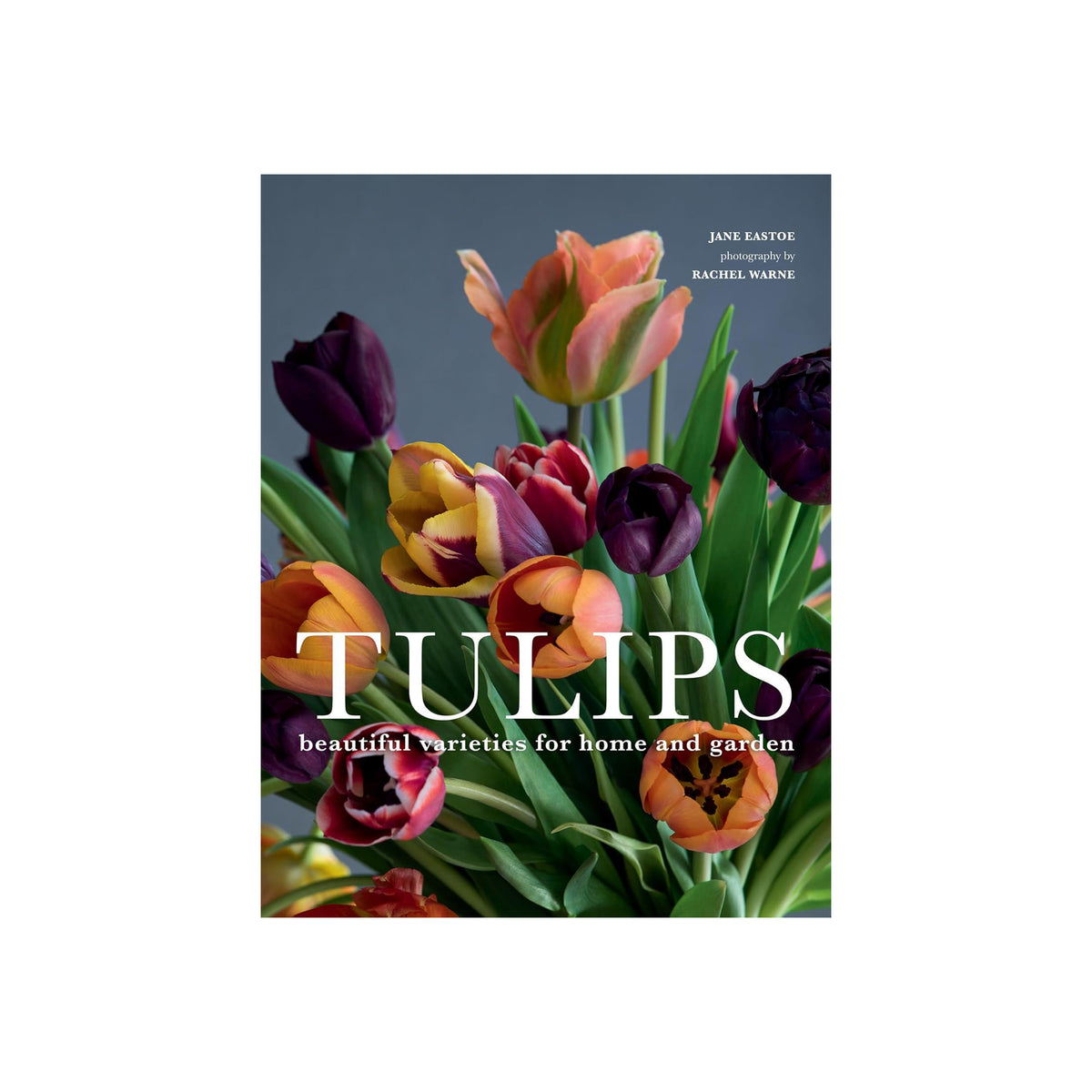 Book cover with colorful tulips and text 'TULIPS: beautiful varieties for home and garden' on a white background