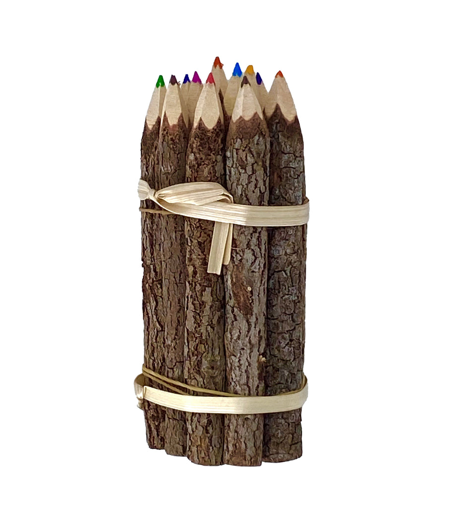 This adorable coloring pencil set is made from real, rustically carved wooden twigs. The set includes twelve different colored pencils in a bundle.