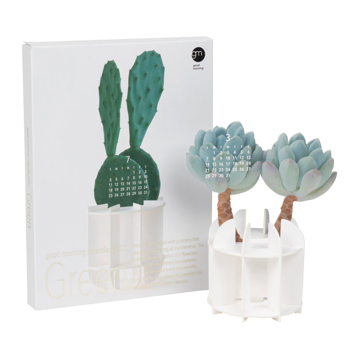 A 3D paper calendar featuring a cactus design, shown next to its white product packaging box. The calendar is made of brown and green paper, standing in a white plastic pot, with the calendar page showing the number 12.