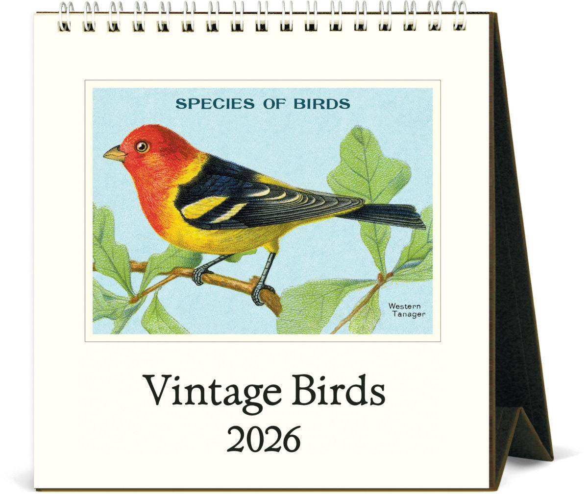 VINTAGE BIRDS - 2026 DESK CALENDAR