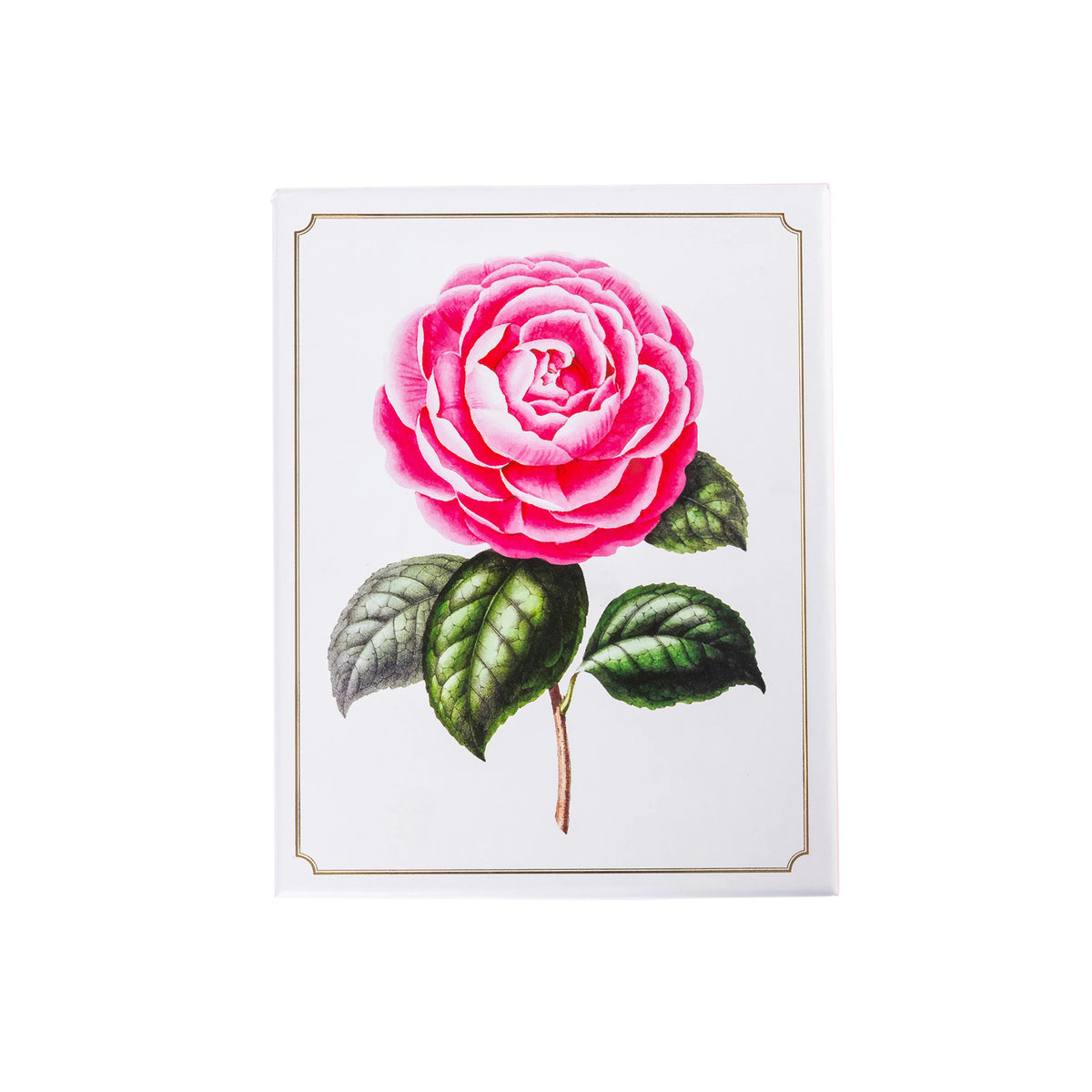 Box of notecards featuring artwork of a pink rose with green leaves on a white background
