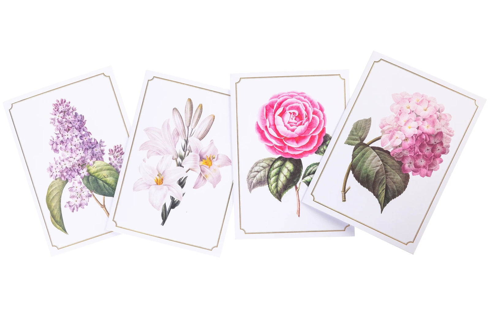 Box of notecards featuring artwork of a pink rose with green leaves on a white background