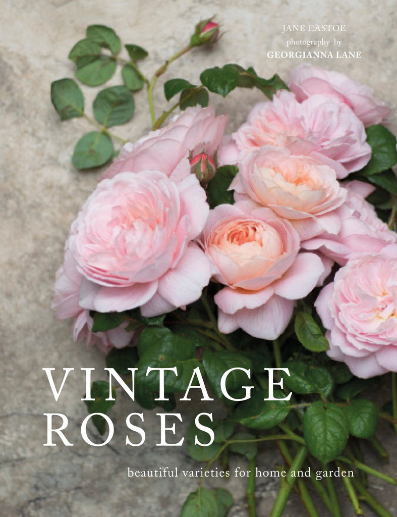 Romantic blooms for novice, expert, or armchair rose gardeners. Who wouldn’t be romanced by names like Lovely Fairy, Desdemona, Elegantyne, Anne Boleyn, Leonardo da Vinci, and Blue for You? Vintage roses encompass both the true “old” roses and the best of the “modern” roses. 240 pages. Hardcover.
