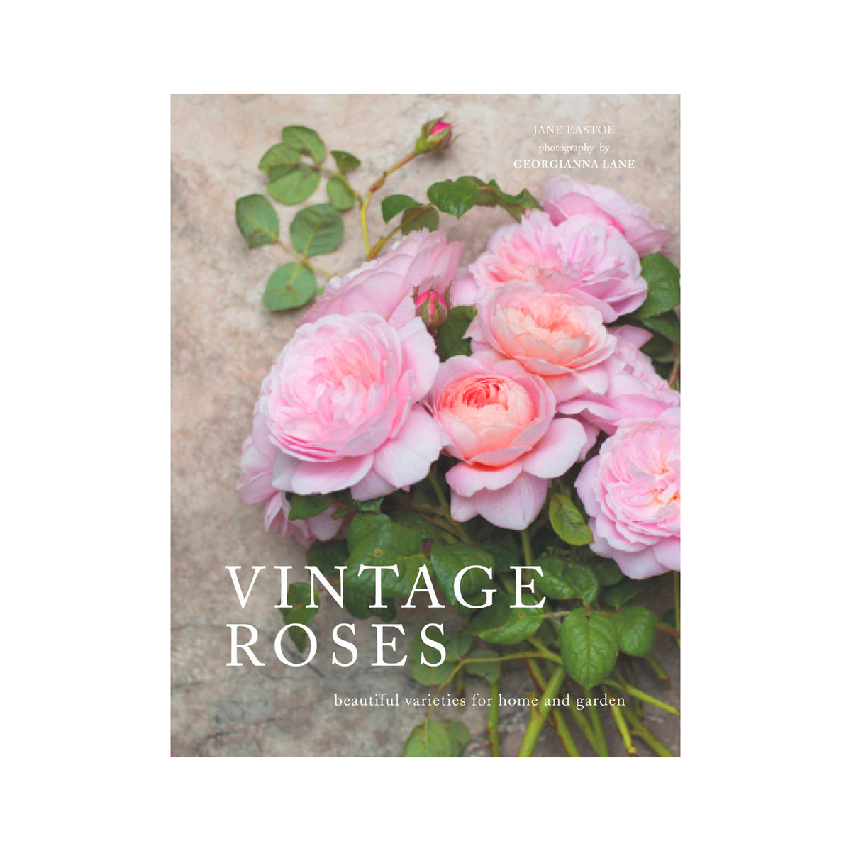 Book cover of Vintage Roses  with pink roses and green leaves on a textured background.