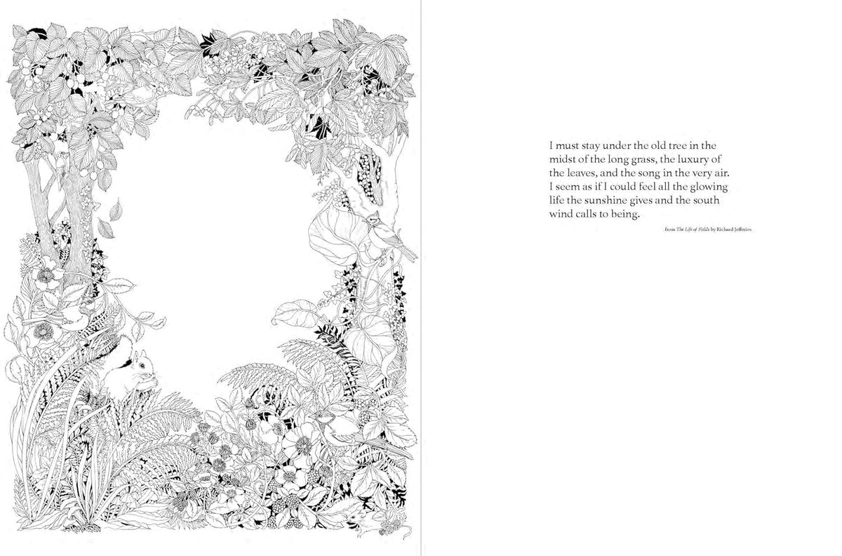 WALK IN THE WOODS: AN INTRICATE COLORING BOOK