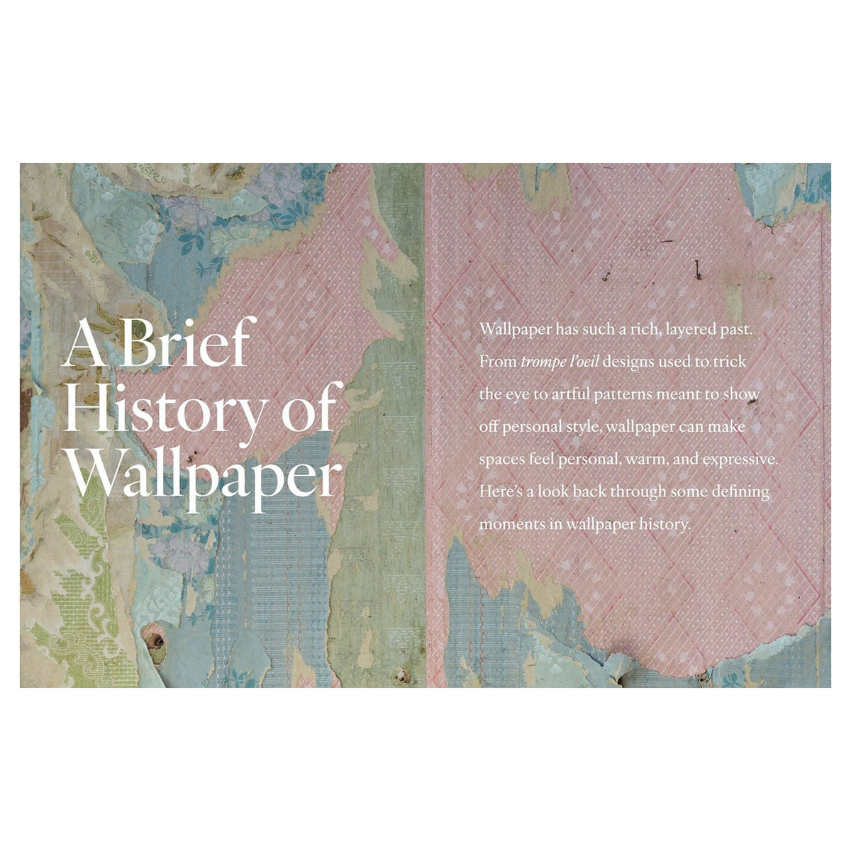 WALL FLOWERS: A LOVE LETTER TO WALLPAPER