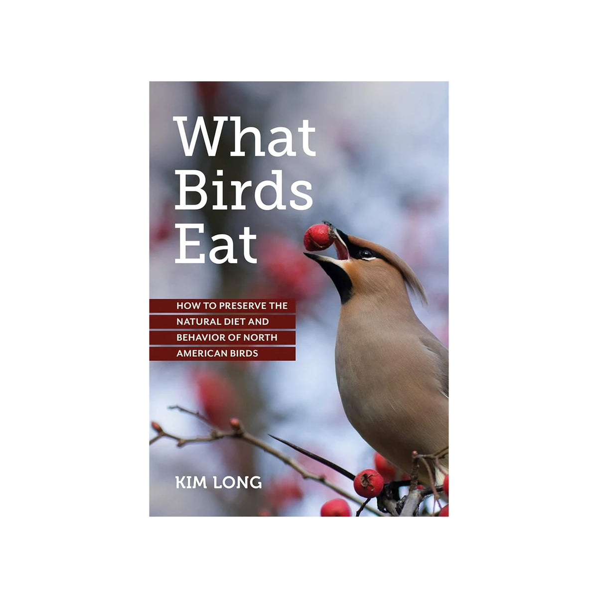 Book cover of 'What Birds Eat' by Kim Long, with a photo of a bird eating a red berry, on a white background.