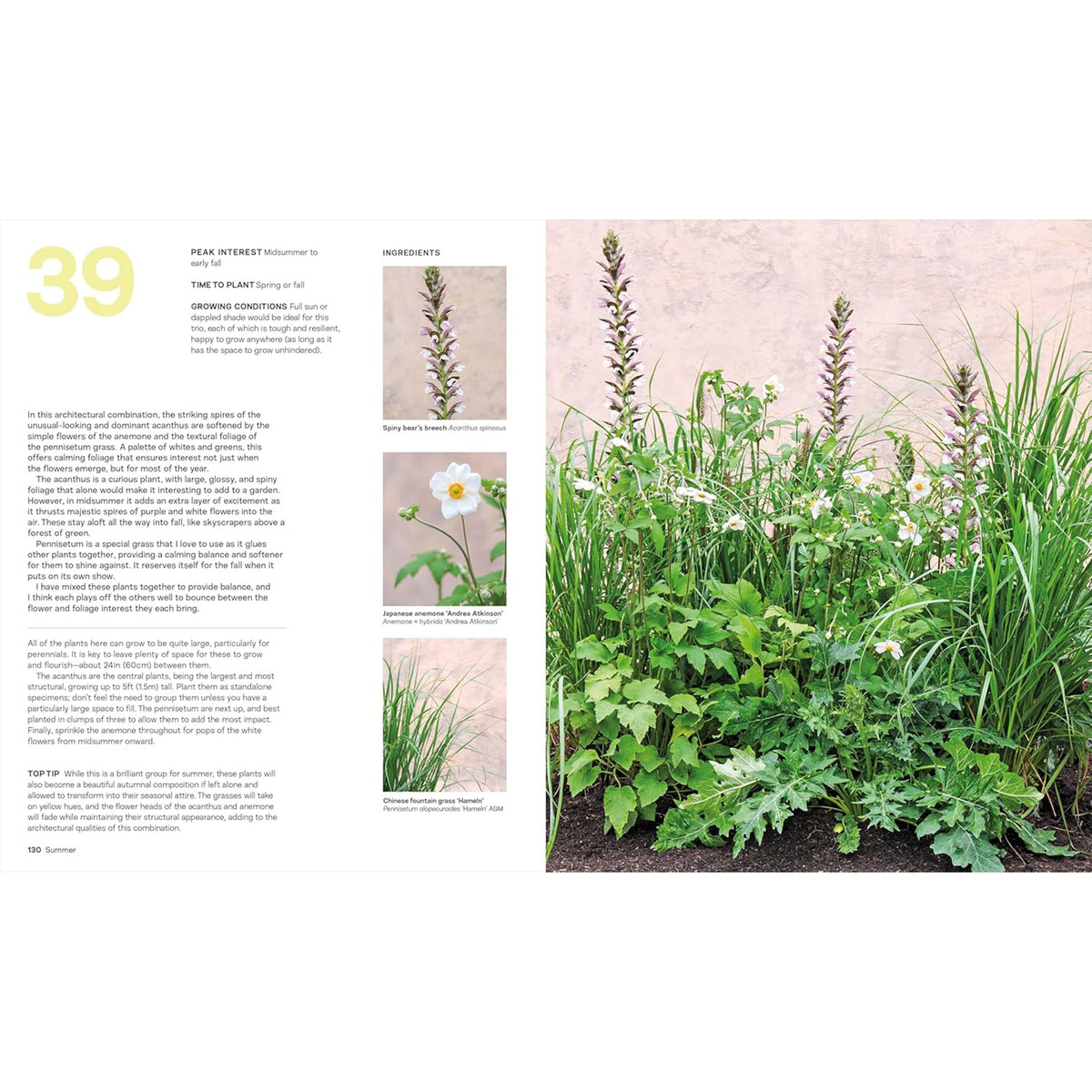 WHAT GROWS TOGETHER: FAIL-SAFE PLANT COMBINATIONS FOR EVERY GARDEN