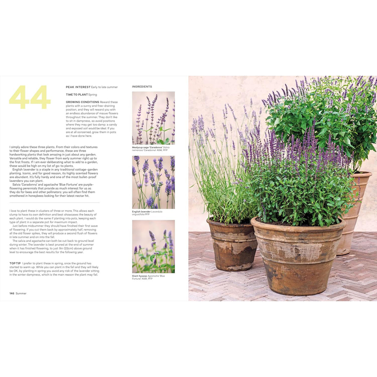 WHAT GROWS TOGETHER: FAIL-SAFE PLANT COMBINATIONS FOR EVERY GARDEN