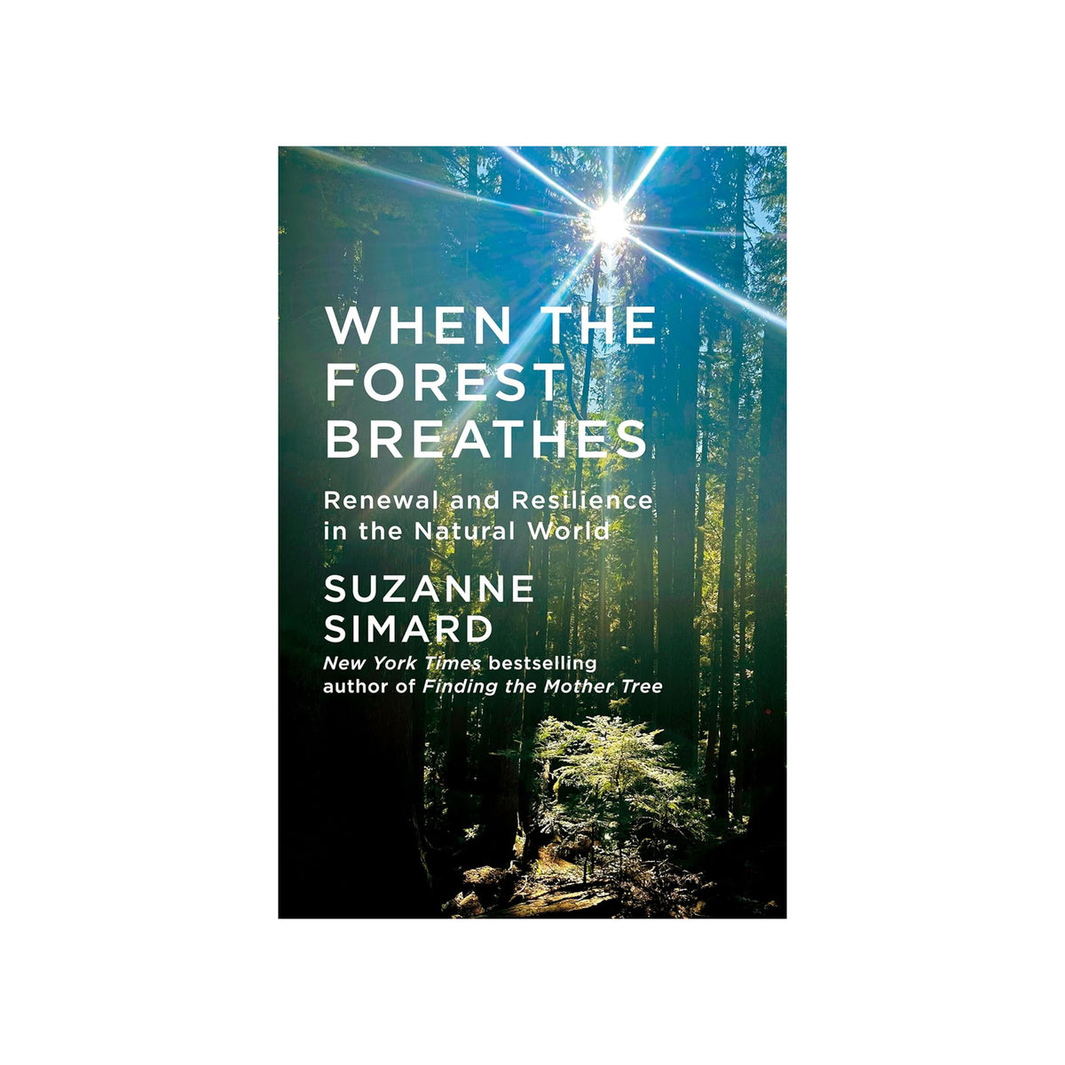 Book cover of 'When the Forest Breathes' by Suzanne Simard with a forest scene in the background.