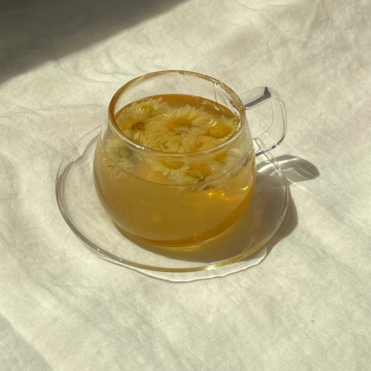 WILD CHRYSANTHEMUM FLOWER TEA