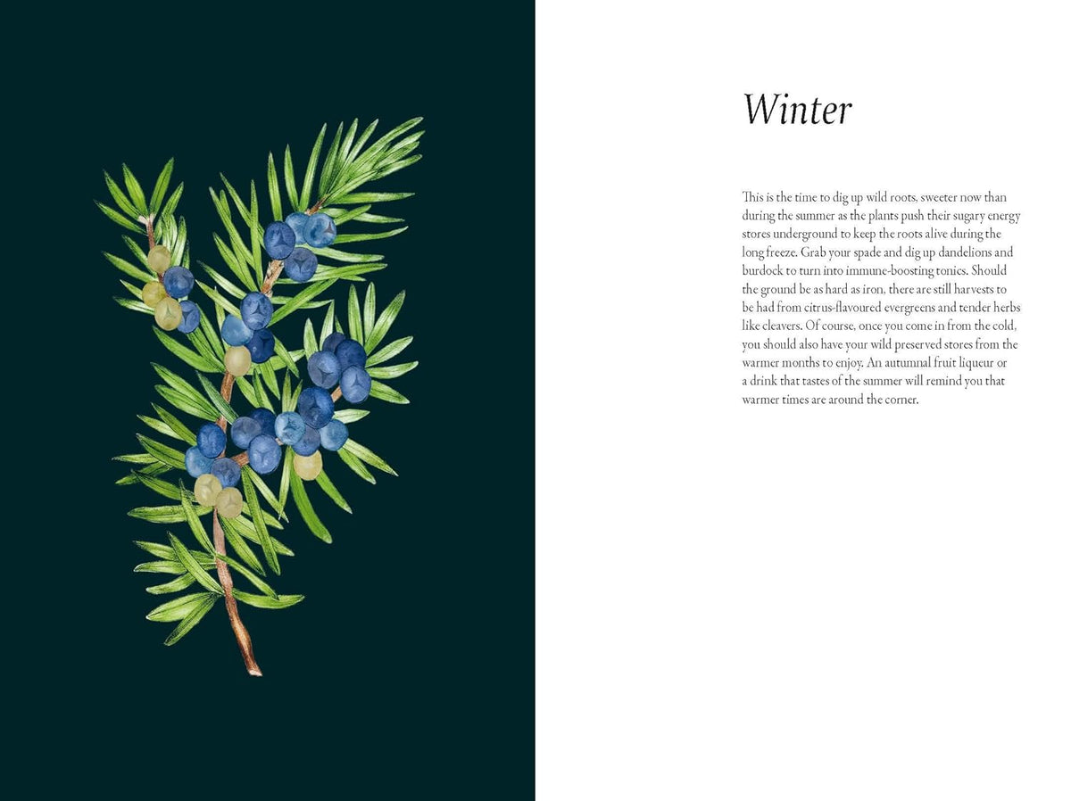 A FORAGER&#39;S GUIDE TO WILD DRINKS