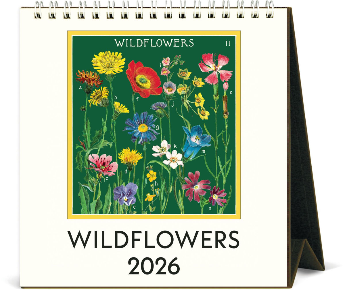 WILDFLOWERS - 2026 DESK CALENDAR