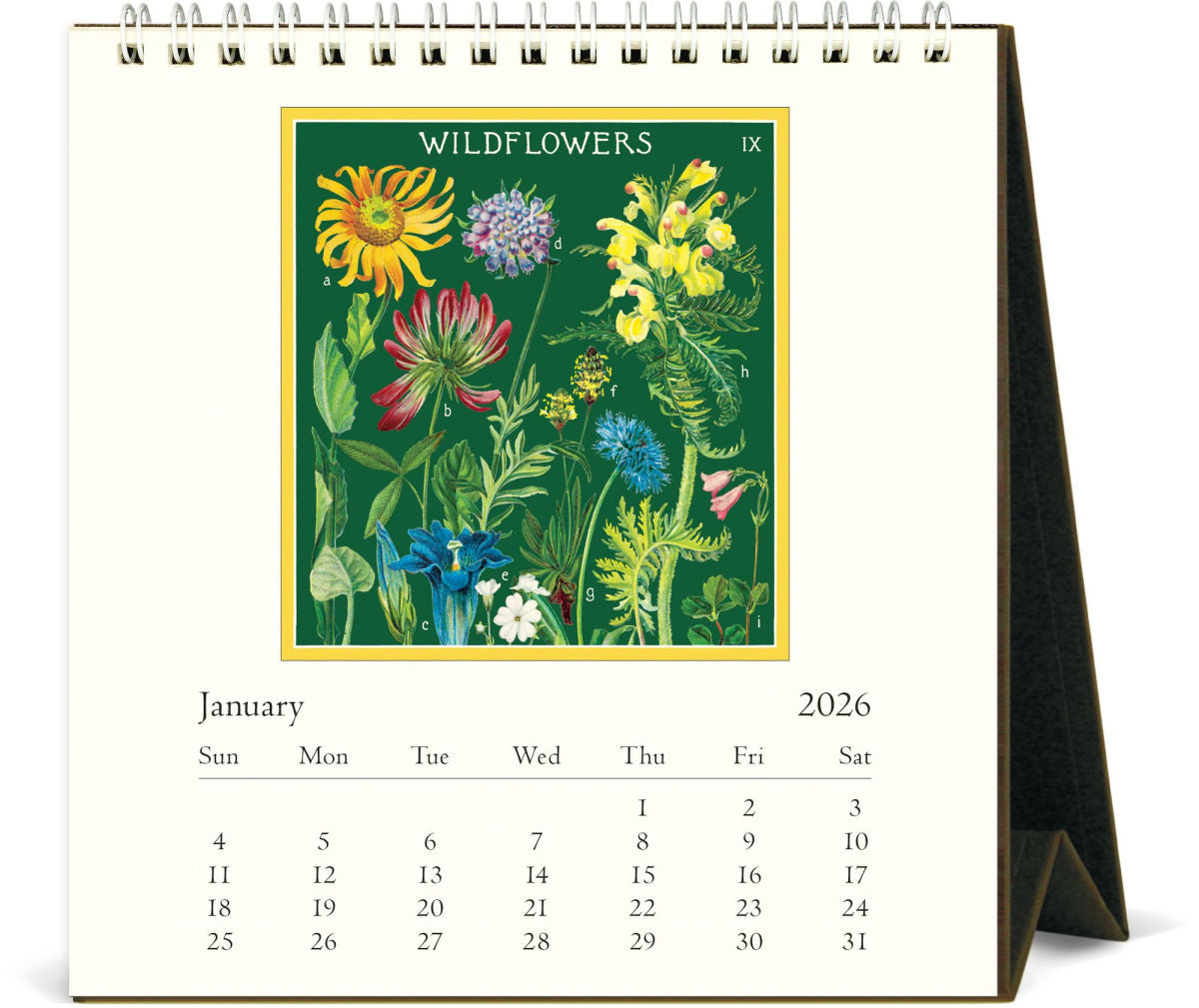 WILDFLOWERS - 2026 DESK CALENDAR