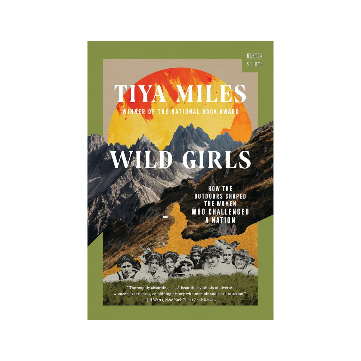 Book cover of Wild Girls by Tiya Miles with a picture of mountains on a white background.