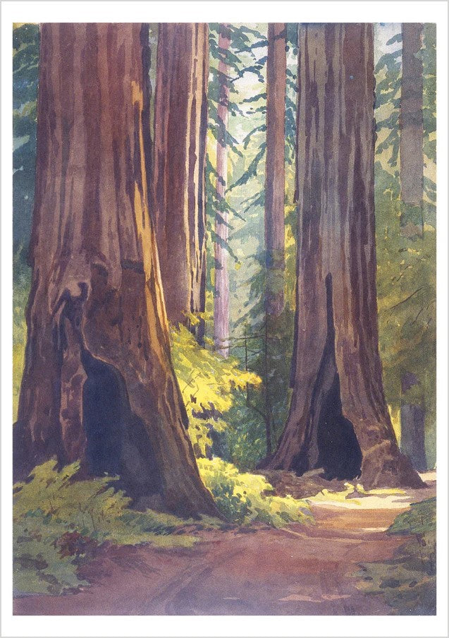 Perhaps best known for his California block prints, Arts and Crafts artist William S. Rice was also a brilliant watercolorist.  Rice usually painted en plein air, faithfully recording the beauty of the western landscape—as shown in the four landscapes reproduced for this set of notecards. 20 blank notecards: Contains five designs. Card size: 5" x 7".
