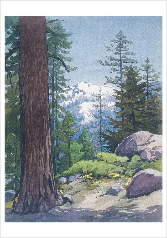 WILLIAM S. RICE WATERCOLORS - NOTECARDS