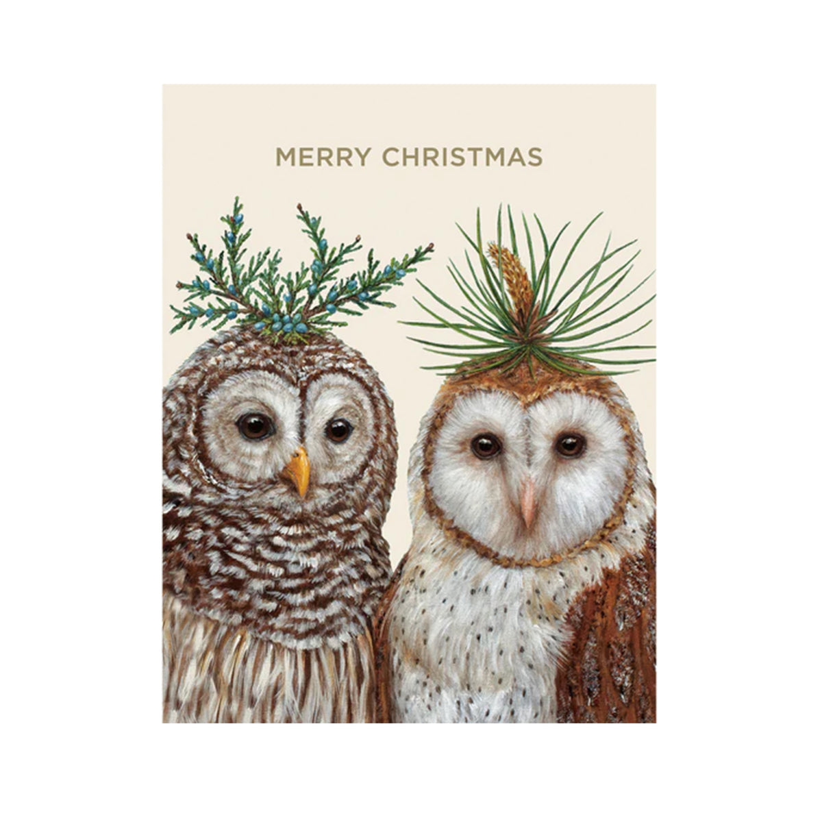 WINTER OWLS BOXED CHRISTMAS CARDS