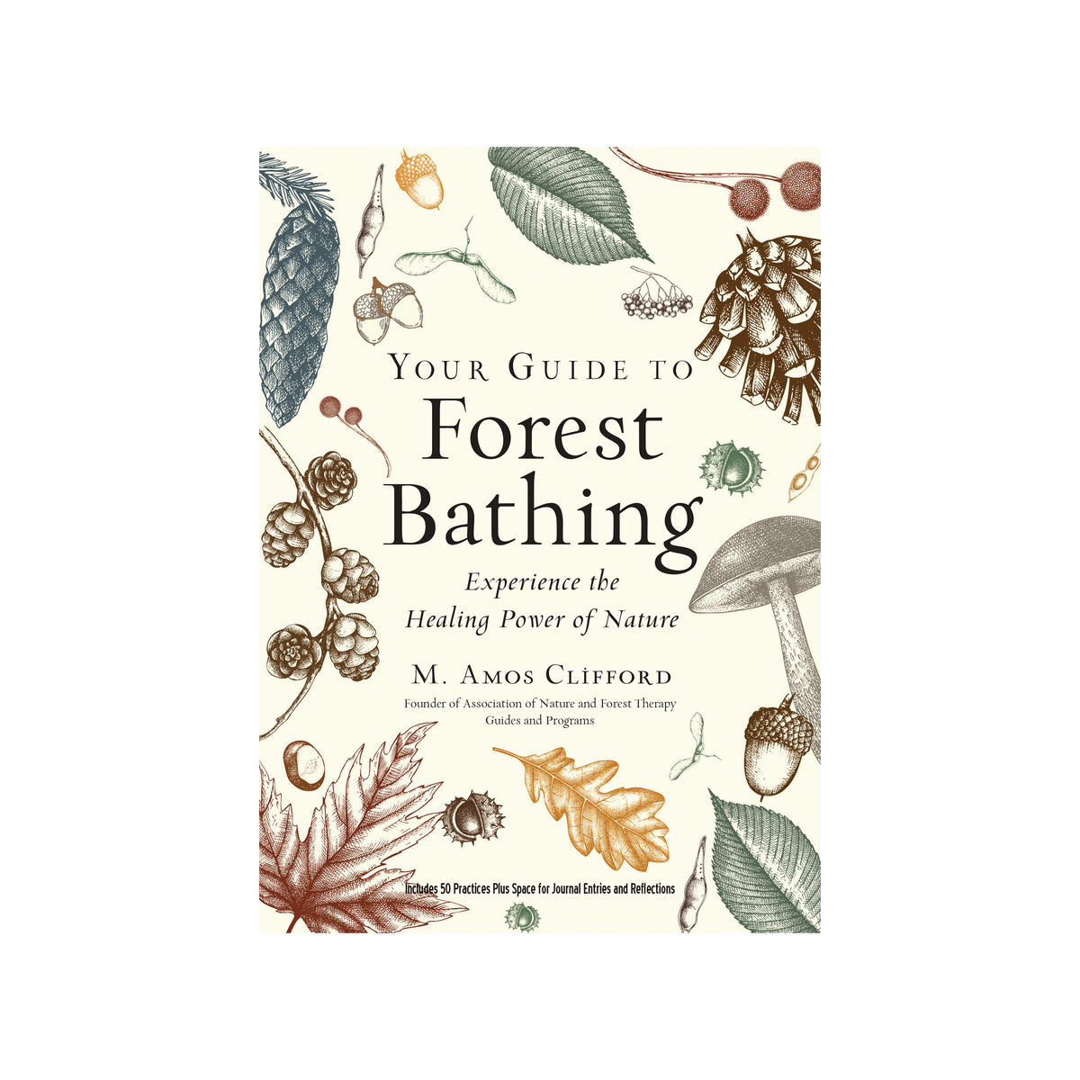 The front cover of the book 'Your Guide to Forest Bathing' by M. Amos Clifford, featuring vintage-style botanical illustrations of pinecones, leaves, acorns, and a mushroom on an off-white background.