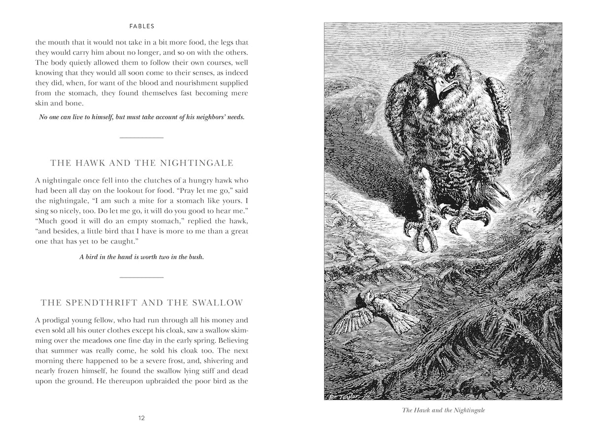 AESOP'S FABLES: SPECIAL EDITION