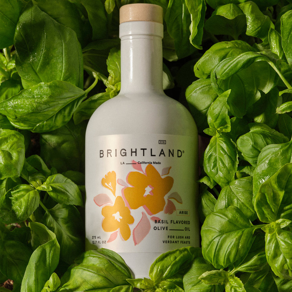 ARISE BASIL OLIVE OIL
