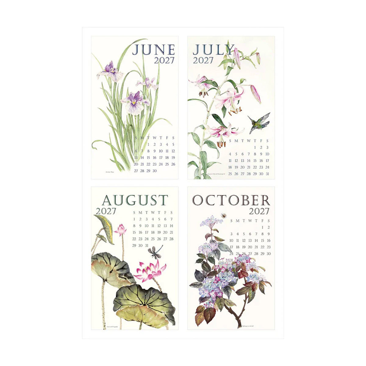 A YEAR IN BOTANICAL ART: 2027 CALENDAR