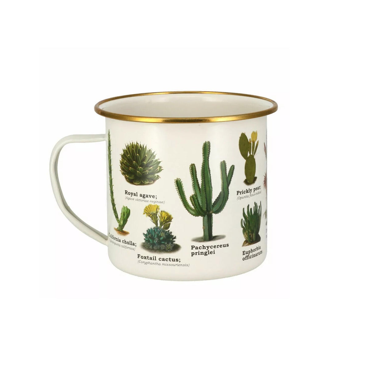 CACTI &amp; SUCCULENTS ENAMEL MUG