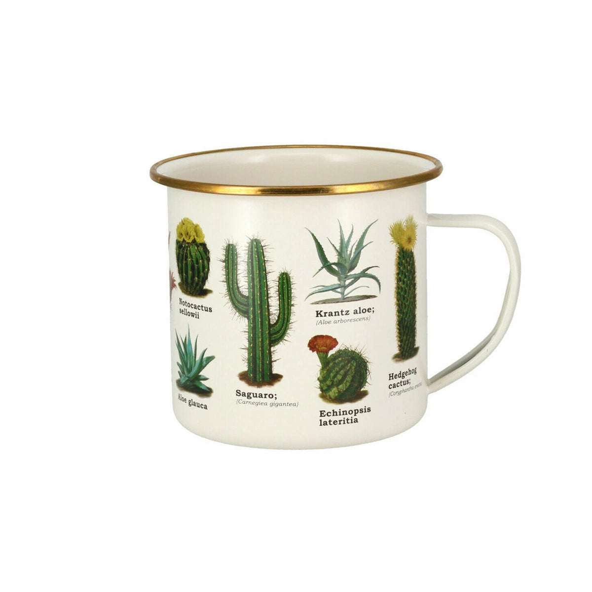 CACTI &amp; SUCCULENTS ENAMEL MUG