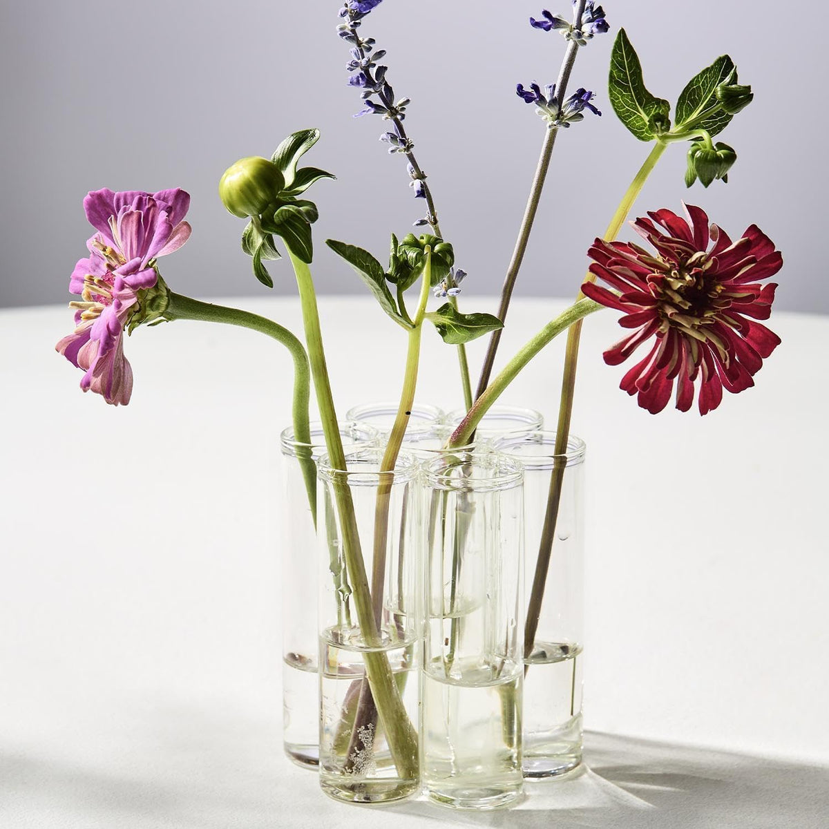 CONNECTED GLASS TUBE VASE