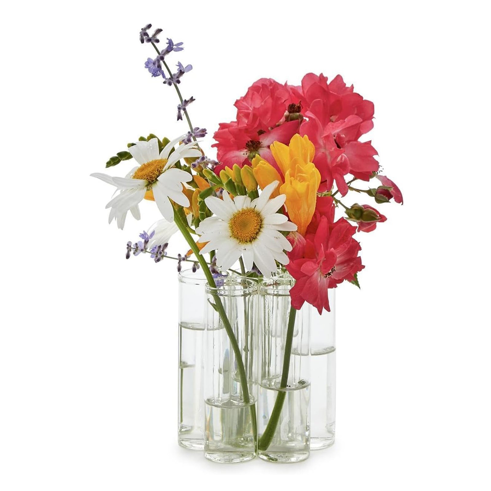 Bouquet of colorful flowers in clear glass vases on a white background