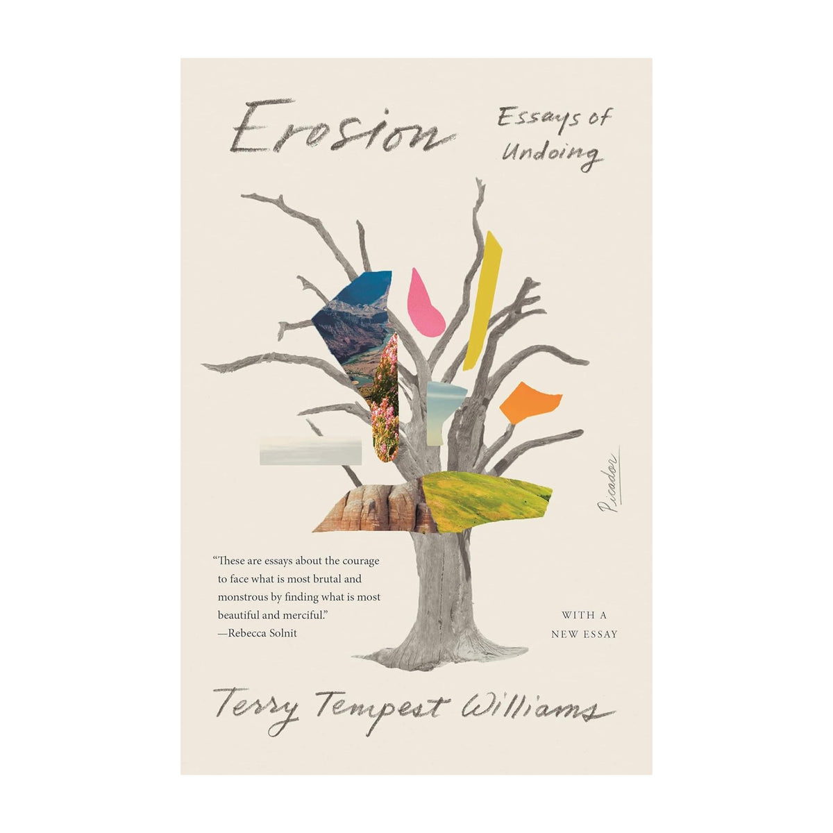 Book cover of 'Erosion: Essays of Undoing' by Terry Tempest Williams with a tree illustration and colorful elements.