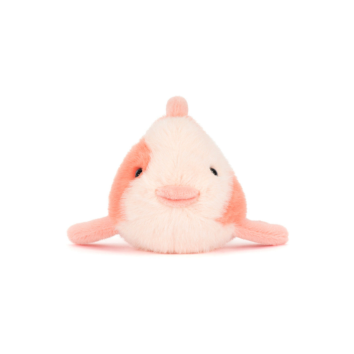FANCY CARP