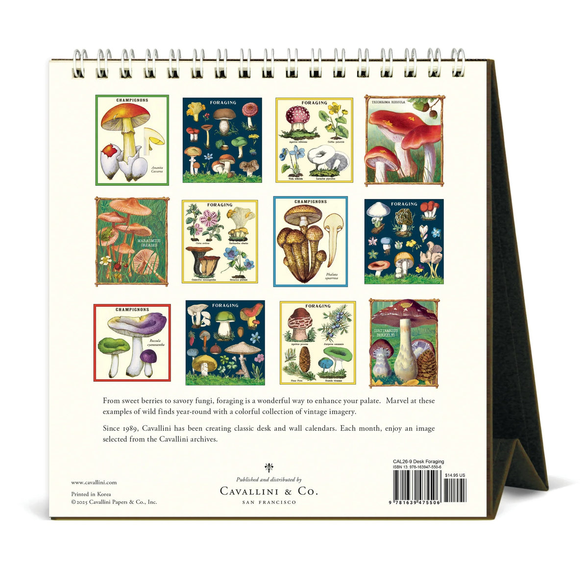 FORAGING- 2026 DESK CALENDAR