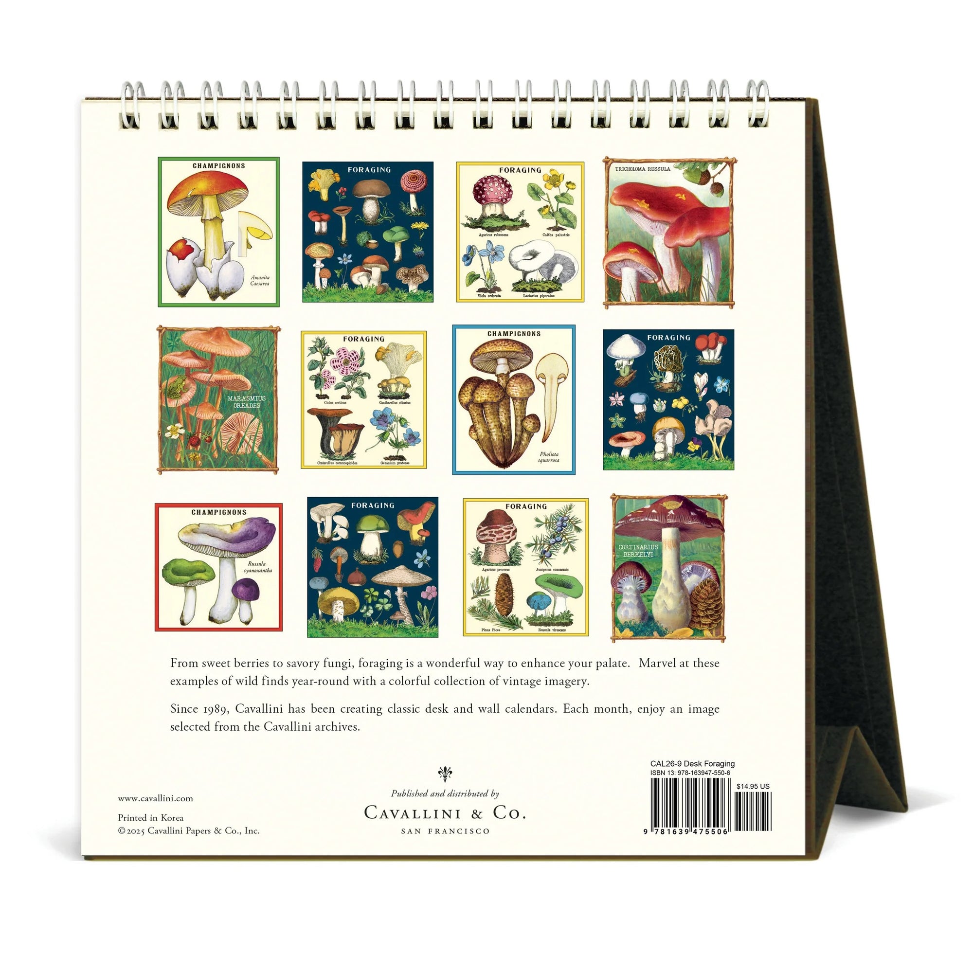 2026 calendar with illustrations of mushrooms on a blue background