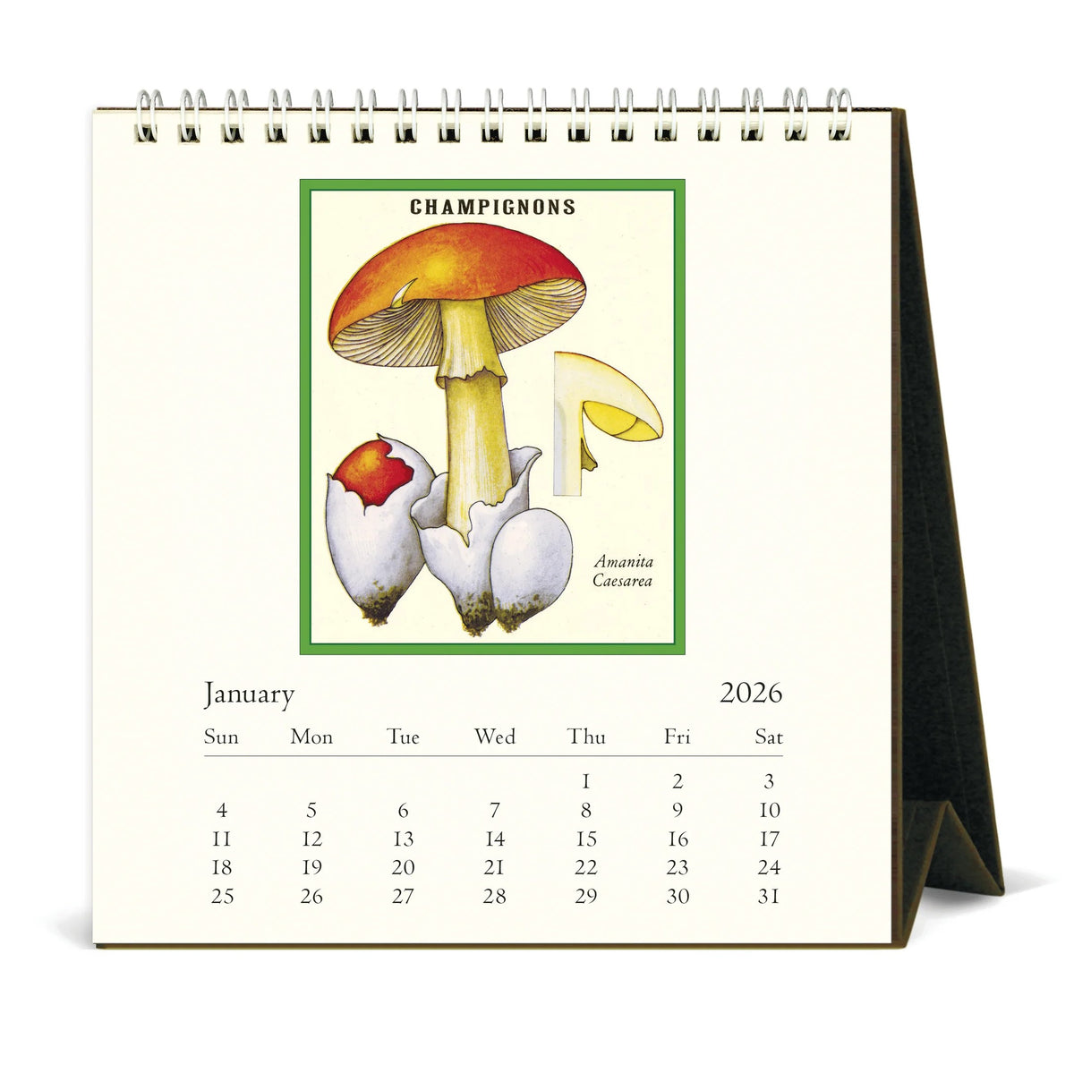FORAGING- 2026 DESK CALENDAR