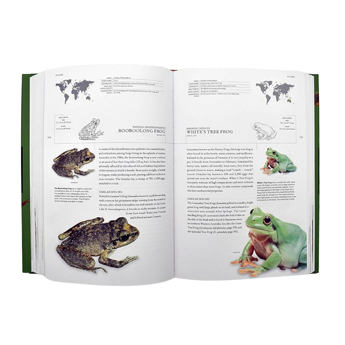 Open book showing pages with frog illustrations and text on a white background