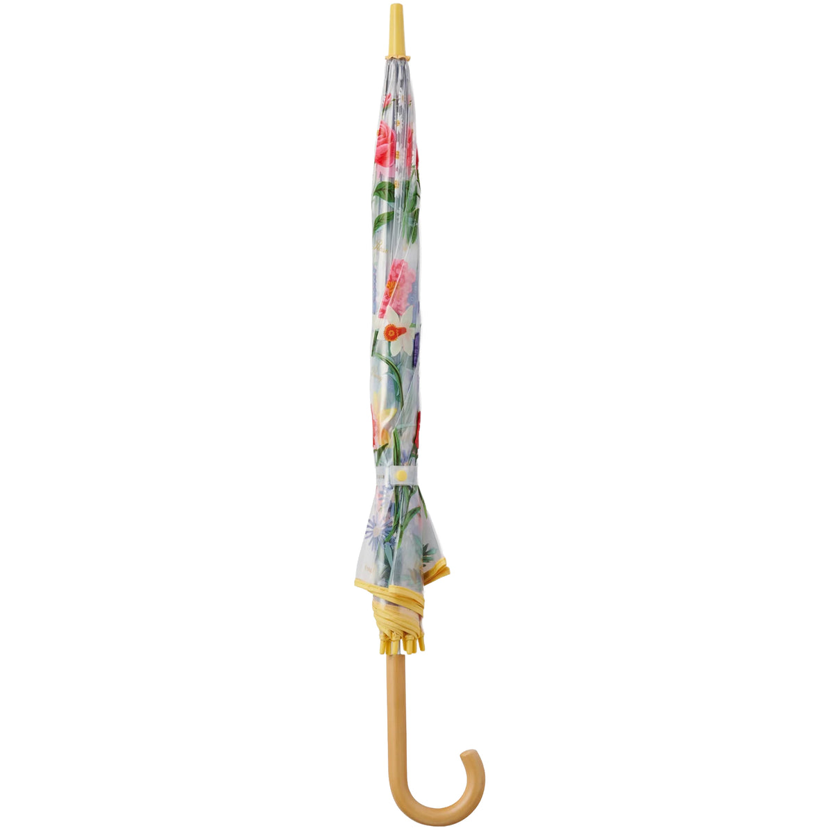 GARDEN STUDY CLEAR UMBRELLA