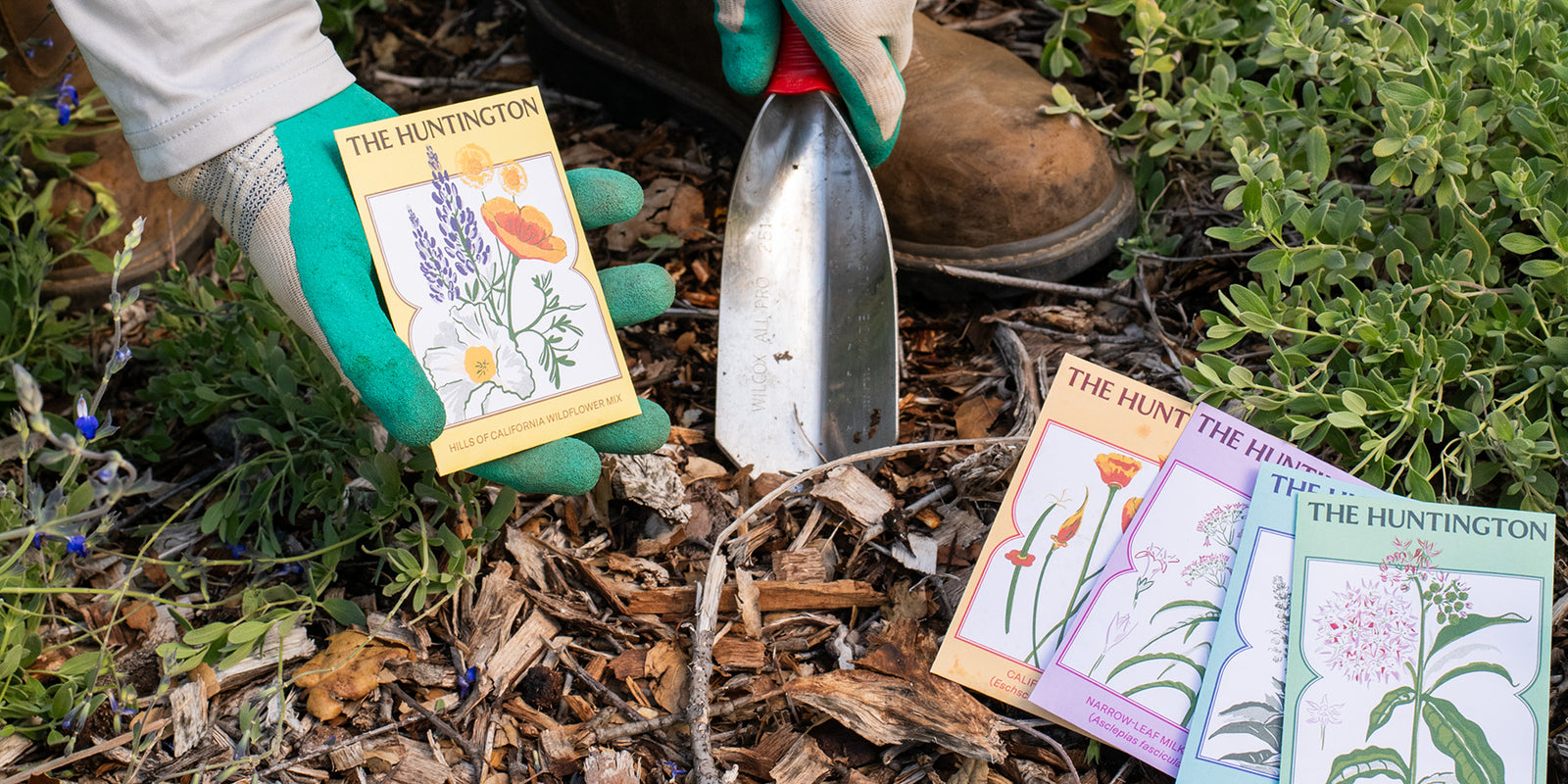 Person holding a trowel and seed packets in a garden setting