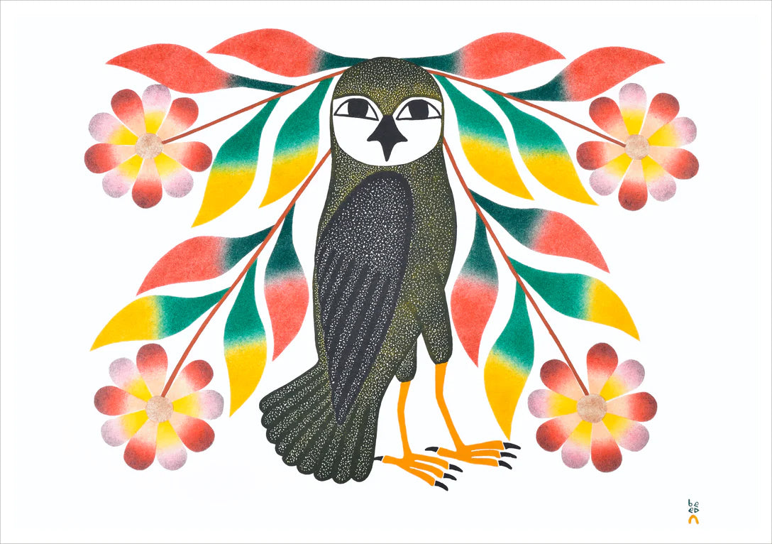 KENOJUAK ASHEVAK: INUIT ART BOXED CHRISTMAS CARDS