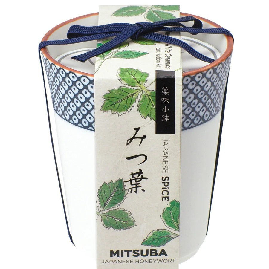 These beautiful little ceramic pots contain a growing kit, each with seeds for you to grow your own mini pot of delicious Yakumi(Japanese herbs). You can choose among Shiso (Japanese basil), Mitsuba (Japanese parsley) and Wasabina (mustard). Each feature a distinctive traditional pattern. Dimensions of pot: 3" x 2.5"