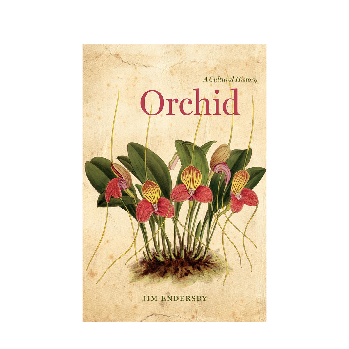 ORCHID - A CULTURAL HISTORY